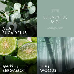 Eucalyptus Mist Odor Eliminating 3-Wick Candle