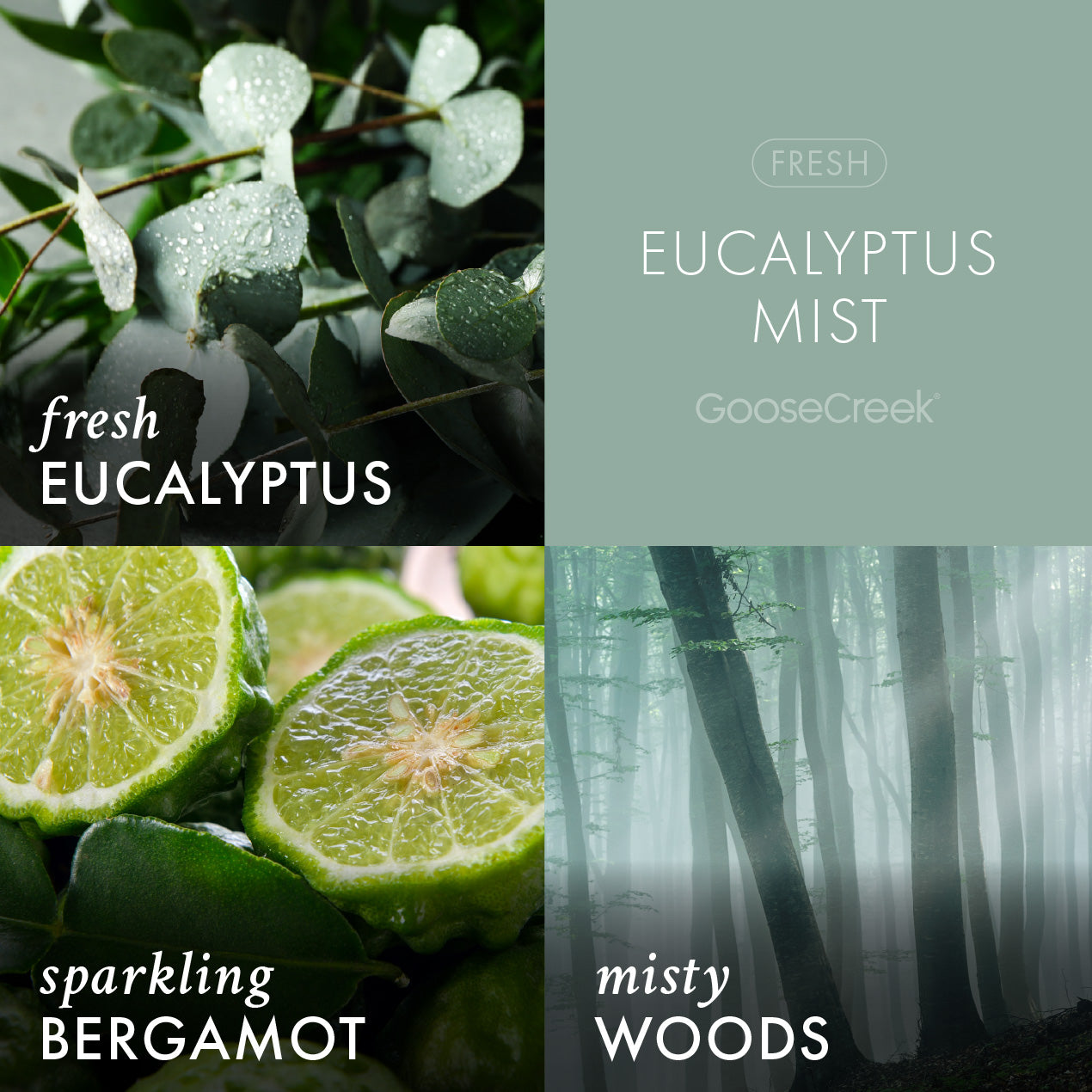 Eucalyptus-Mist-Odor-Eliminating-3-Wick-Candle-3.jpg