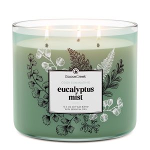 Eucalyptus Mist Odor Eliminating 3-Wick Candle