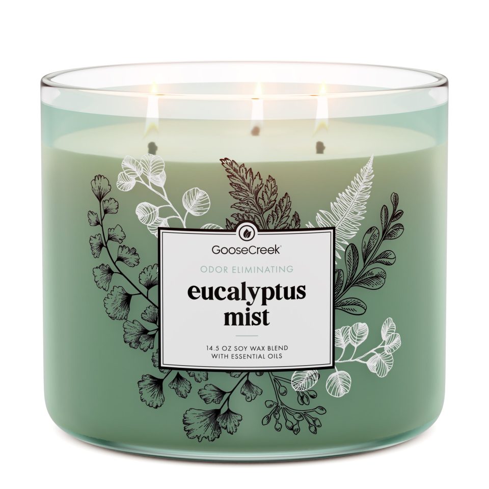 Eucalyptus Mist Odor Eliminating 3-Wick Candle