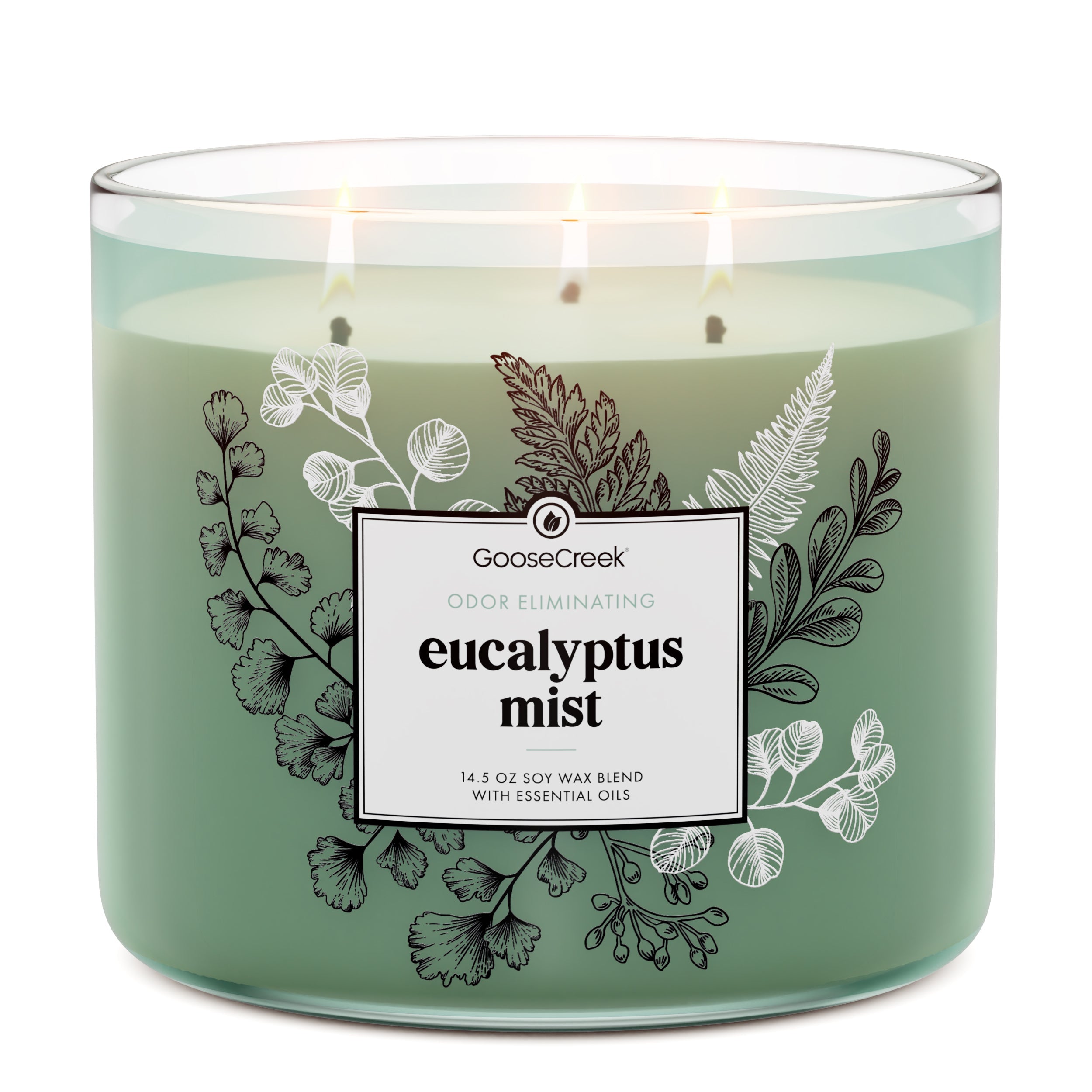Eucalyptus-Mist-Odor-Eliminating-3-Wick-Candle.jpg