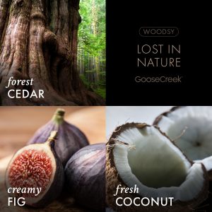 Lost In Nature 3-Wick Candle