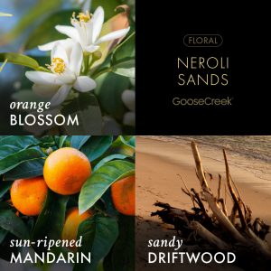 Neroli Sands 3-Wick Candle