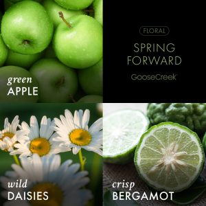 Spring Forward 3-Wick Candle